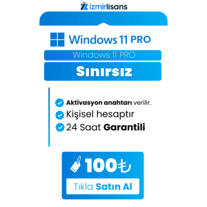 windows 11 pro