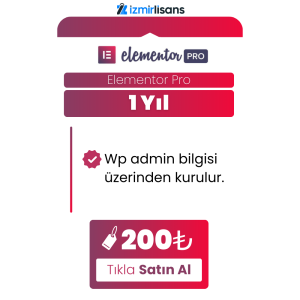 Elementor PRO
